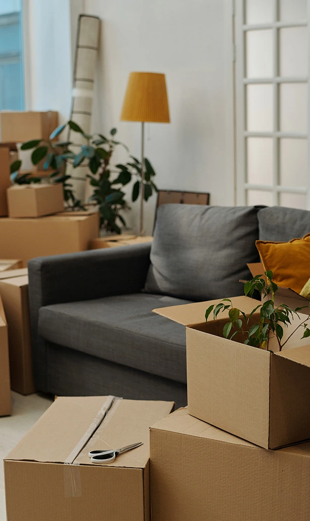 iv design opremanje enterijera unos nameštaja